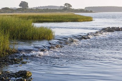 A restored tidal shoreline with cordgrass marsh and a low rock sill separating a shallow creek from open water (AI-generated image)