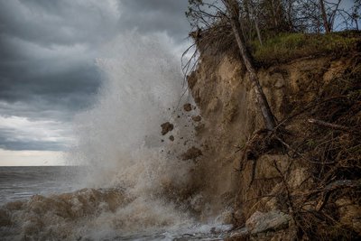 An eroding coastal bluff with exposed tree roots above crashing waves